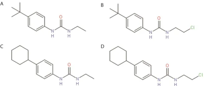 Figure 11 : Structure des premières molécules synthétisées. Structure de 