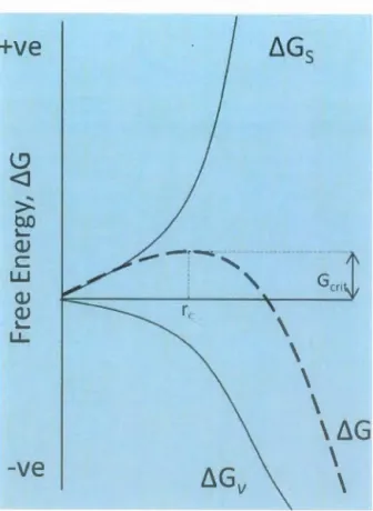 Figure  1.  4  Free energy diagram for nucleation explaining the existence of a "cri  ti  cal  nucleus "  (Thanh et al