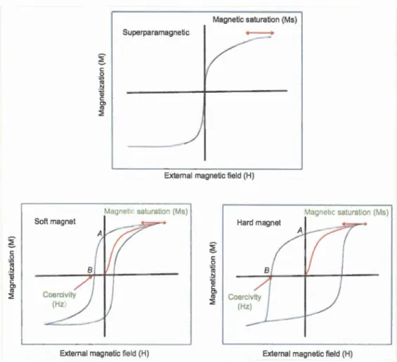 Figure  1.  10  A  typical  hysteresis loop such  as  that obtained from  super paramagnetic and  ferromagnetic (soft  and  hard) materials (Mody et al.,  2013) 