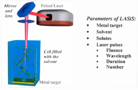 Figure  1.  13  The principal components of the experimental  set  up for LA SIS  with  a  list of its  main 