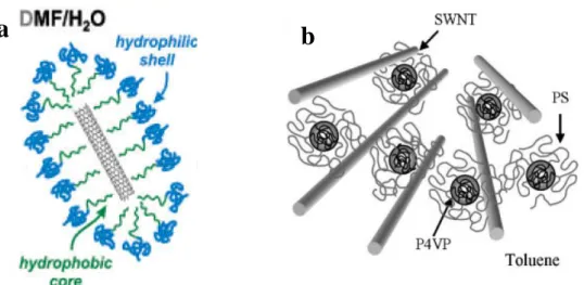 Figure 1-12 : Schéma de la nanostructure des CNTs et de copolymère à blocs a) copolymère 