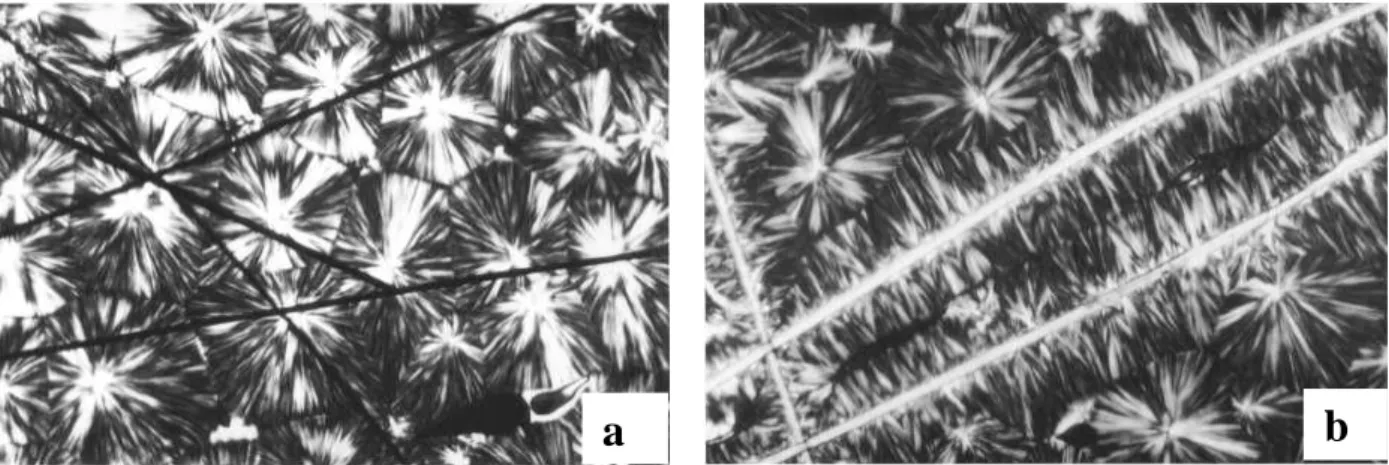 Figure 1-33 : Image optique dans du polypropylène a) avec des fibres de carbone, il n’y a pas 