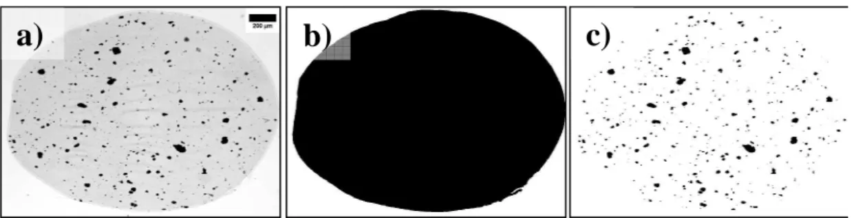 Figure 3-1 : Traitement d’une photo en microscopie optique a) Image initiale b) Surface du 
