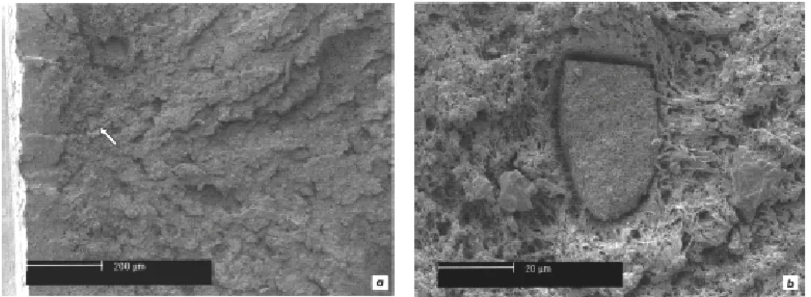 Figure 14 : Images MEB du faciès de rupture d’un barreau Izod entaillé de PA-6 renforcé par des 