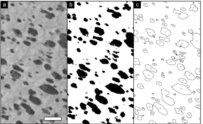 Figure 41: TEM micrographs of polyamide-12 toughened with 20wt% of SBM particles. a. initial 