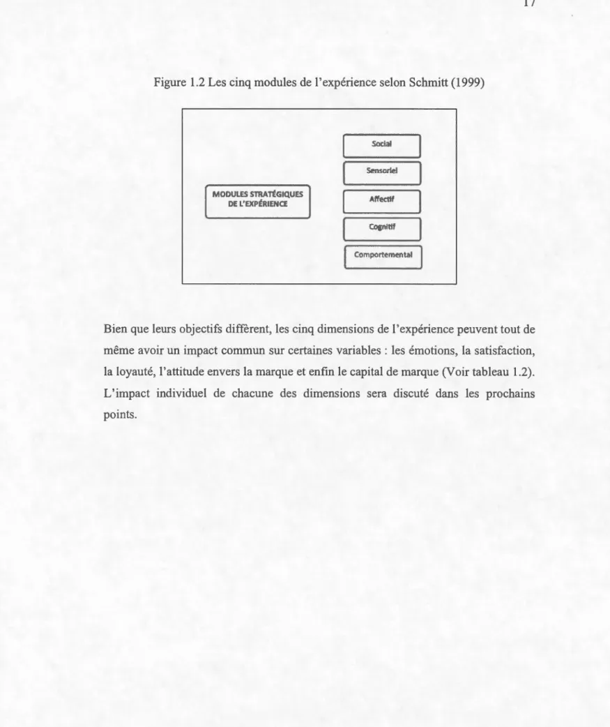 Figure  1.2 Les cinq modules de l'expérience selon Schmitt (1999) 
