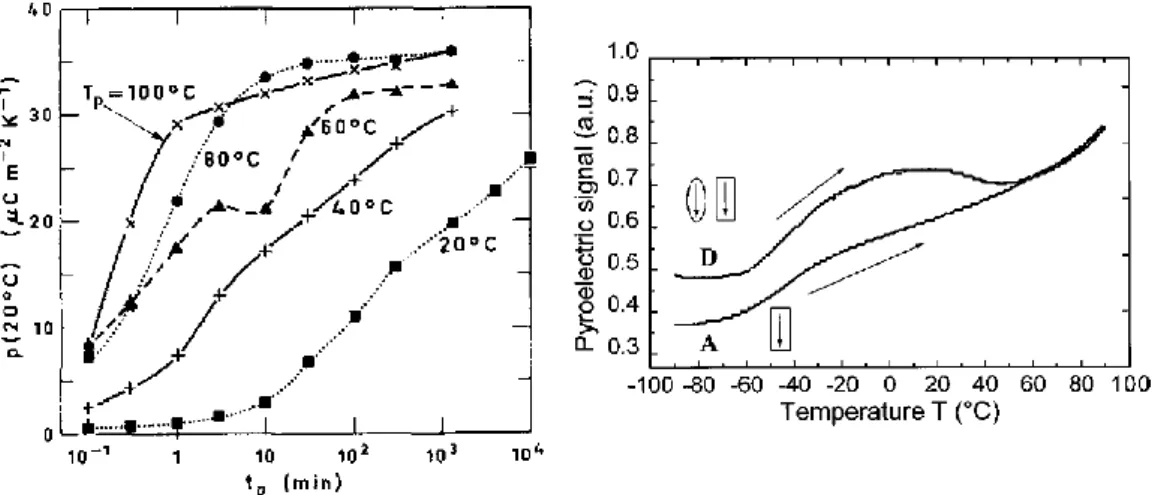 Figure I-10 : Evolution du coefficient pyroélectrique à 20 °C avec le temps de polarisation (t p ) pour 5 films de β-