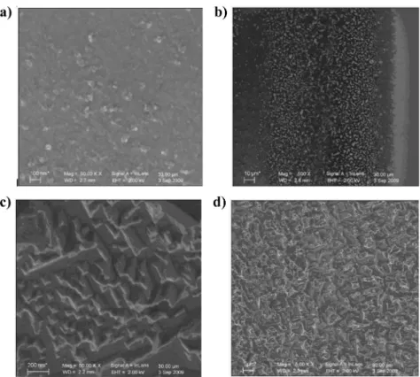 Figure 6. SEM of (a, b) gold and (c, d) copper plates immersed into a 100 mM 2,6-DMBD þ 0.1 M NBu 4 BF 4 ACN solution for (a, b) 900 s at E = -0.9 V/ Ag/AgCl, (c, d) 1800 s without electrochemical assistance