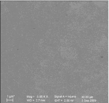 Figure S3. SEM image of a gold plate grafted for 900 s in an ACN + 100 mM 2,6-DMBD + 