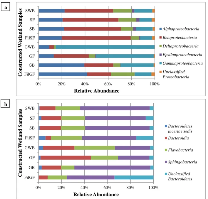 Fig. 2.2 (a) Proteobacteria and (b) Bacteroidetes composition by class in samples 