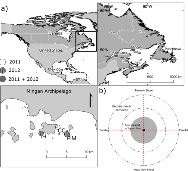 Figure 1.1. Experimental manipulations in the Gulf of Saint Lawrence (Quebec, Canada)