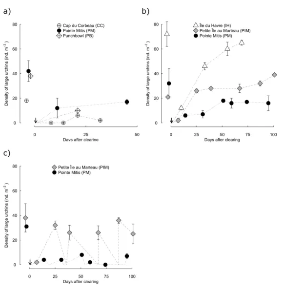 Figure 1.5. Clearing trajectories through time. Density of large urchins in the interior zone before clearing, and 