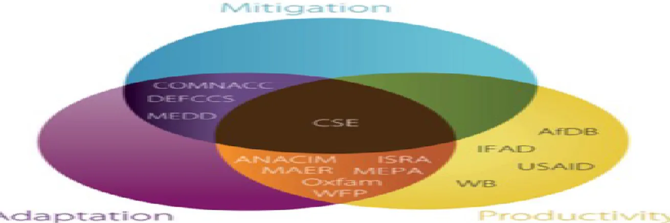 Figure 3.2  Les différents institutions et organismes promouvant l’ AIC  (tiré de CGIAR, s