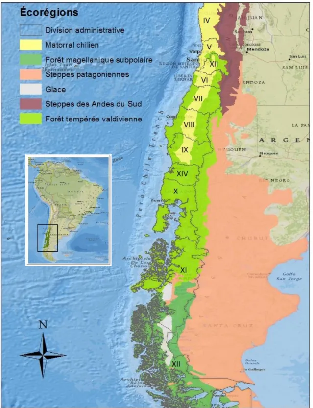 Figure 1.1  Situation géographique de l’écorégion de la forêt tempérée valdivienne (en vert clair) et des  écorégions limitrophes