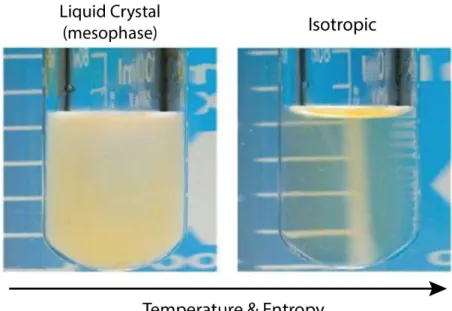 Figure I.5: Different phases of matter. At the 2nd melting point, the cloudy liquid (liquid crystals) become isotropic, almost transparent [79].