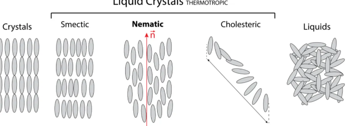 Figure I.6: Different states of matter. In the middle, different types of thermotropic LCs : smectic, nematic, cholesteric.