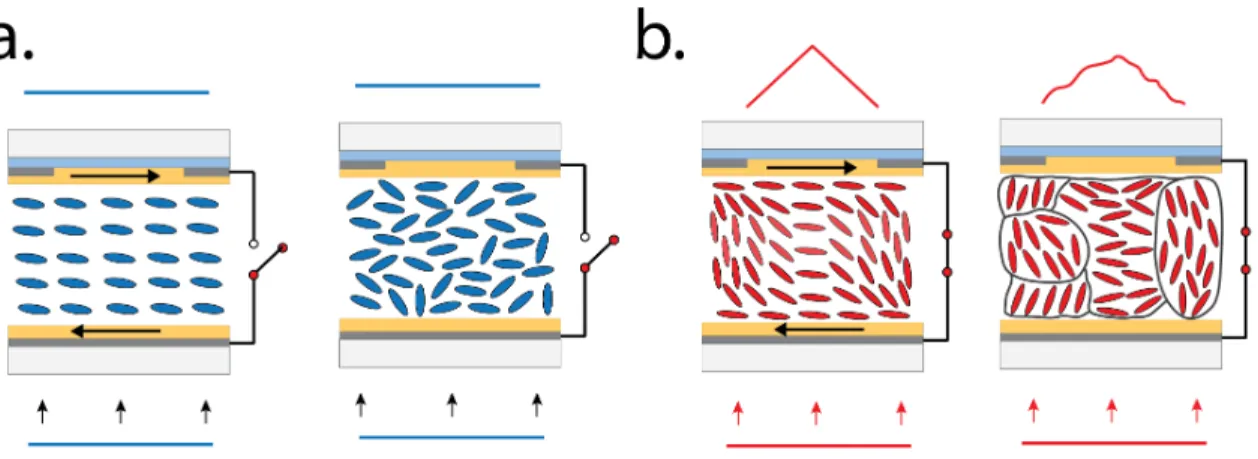 Figure I.11: Rubbing and the alignment LC molecules. a. No voltage is applied. Rubbing tends to align molecules (director being parallel to the direction of the rubbing)