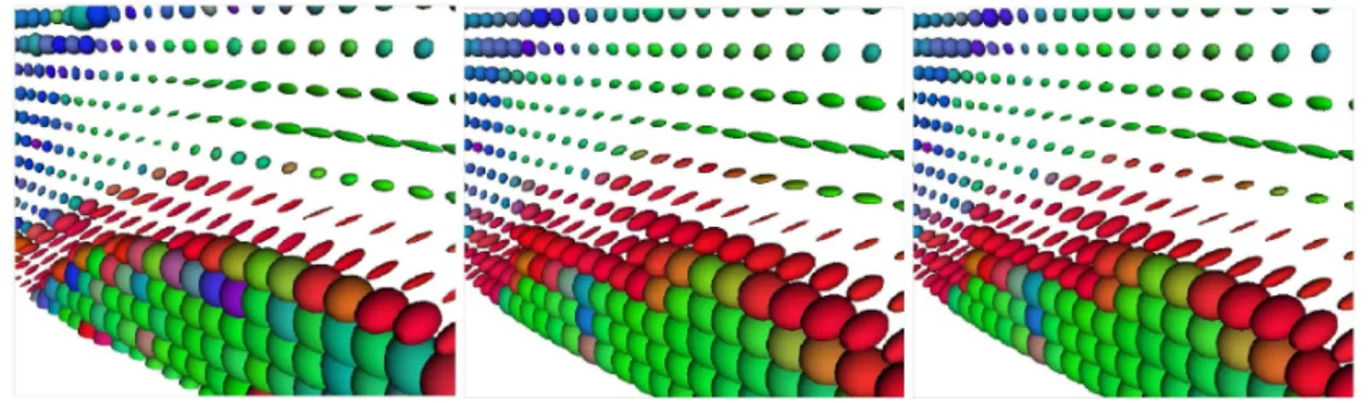 Figure 4.3: Bilinear interpolation in a real DTI slice. Left: Original DTI slice, before down-sampling