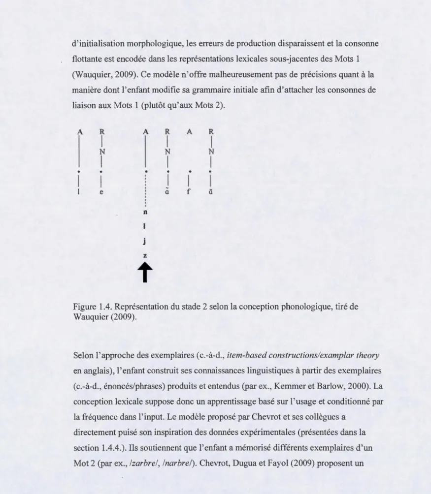 Figure  1.4 .  Représentation du stade 2 selon la conception phonologique ,  tiré de  Wauquier (2009)