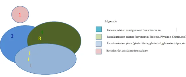 Figure 8 –  Nombre d’enseignants par baccalauréat ou par diplôme disciplinaire obtenu