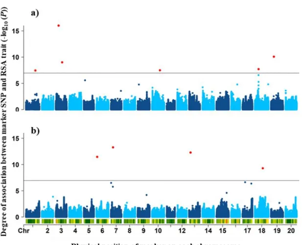 Figure 2-2: Manhattan plots showing genome-wide association results for a) total length of 