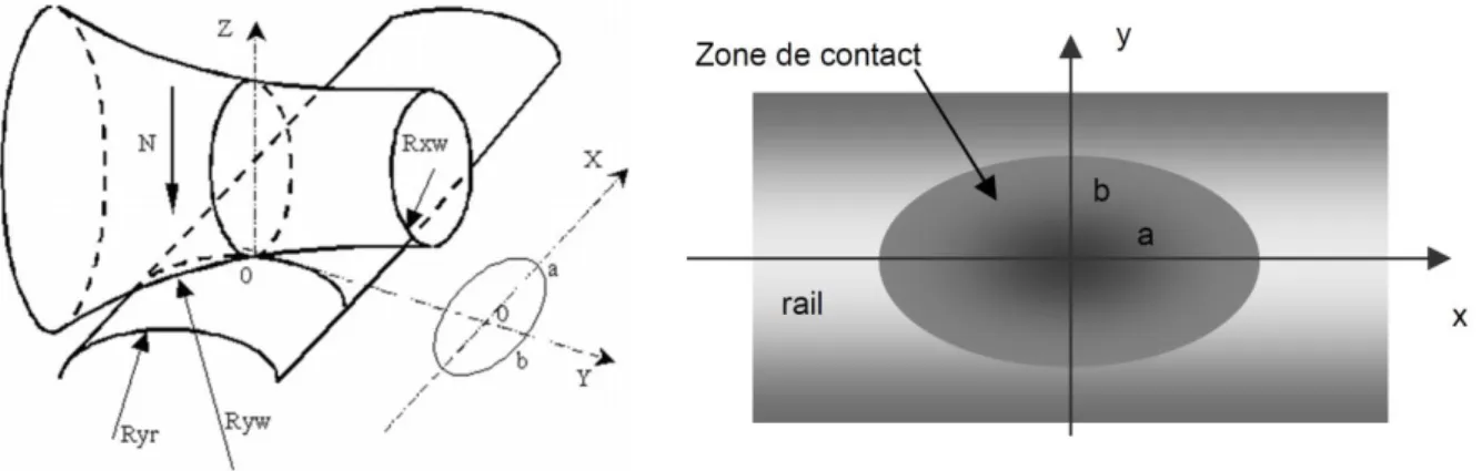 Figure 8 – Gauche : Dimension hertzienne du contact. Droite : Ellipse de contact de Hertz de deux cylindres en  statique 