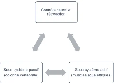 Figure 1-3: Les sous-systèmes assurant la stabilité de la colonne vertébrale (adapté de 