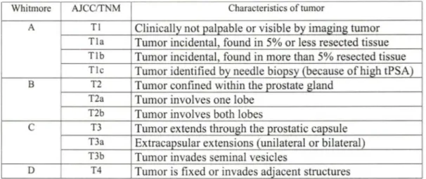 Table  1.  Current classifications  of prostate  cancer  (FRYDENBERG,  1997,  HAN  et  al.,  2000,  O'DOWD et al.,  1997)