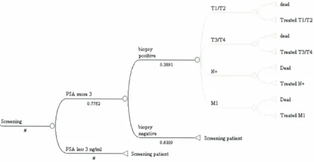 Figure  15.  A  fragment  of  decision  tree  represents  screening  and  diagnosis,  staging  and  treatment for one particular alternative (tPSA &amp; DRE based screening)14• 