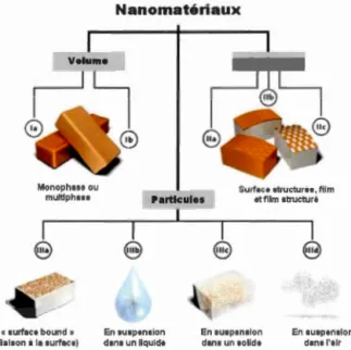 Figure 1.5 Classification des nanomatériaux  selon  leur localisation au  sein  du 