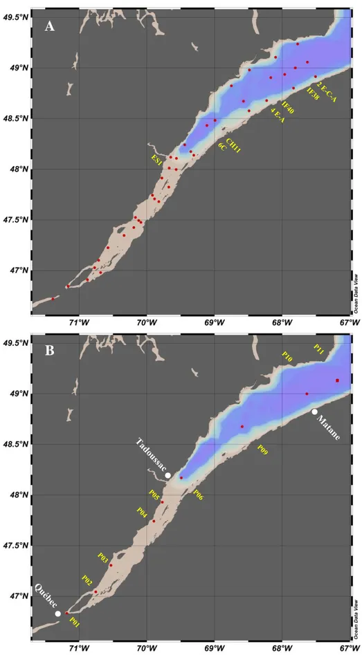 Figure 6. Cartes des stations échantillonnées lors des missions A) SECO.Net à l’automne  2017 et B) Odyssée Saint-Laurent à l’hiver 2019.