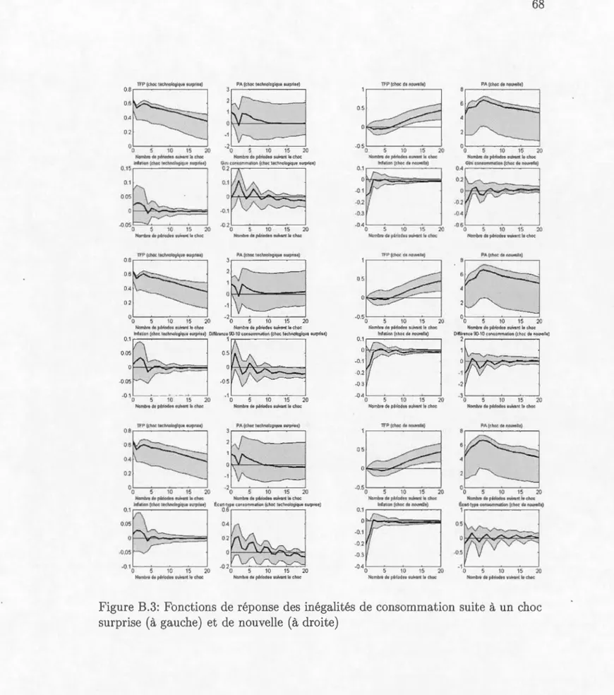 Figure  B.3:  Fonctions  de  r é pon se  d es  in éga lit és  d e  consommation  s uit e  à  un  c ho c 