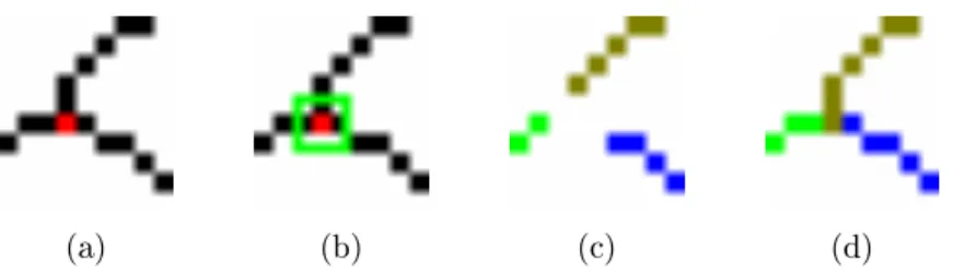Figure 4.15: Les diérentes étapes de décomposition du squelette. (a, b) dé- dé-tection et suppression d'un point multiple et des ses voisins