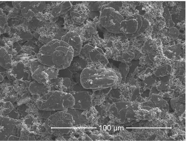 Figure 1.2: SEM image of active particles in the lithium ion battery electrode.