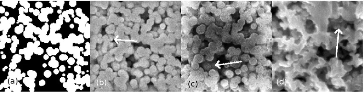 Figure 2.23: A comparison of two simulated SEM images with an experimental one: (a) slice view of the underlying geometry; (b) simulated SEM image with a gold matrix; (c) simulated image with carbon matrix; (d)experimental image with carbon matrix.