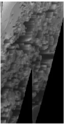 Figure 3.6: A cross section view of the aligned FIB-SEM dataset.