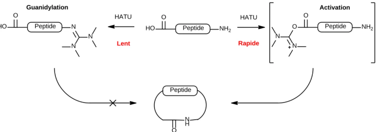 Figure 8 Formation de guanidine lors d’une réaction de macrocyclisation avec le HATU comme agent de couplage