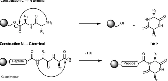 Figure 11 Mécanisme de formation de DKP lors d’une synthèse peptidique sur support solide en sens classique et  en sens inverse