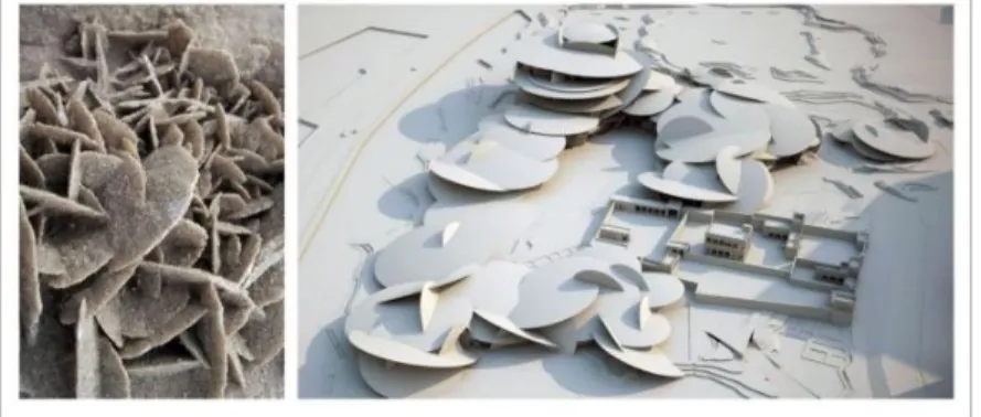 Figure 3 : Comparaison de la rose des sables avec la maquette de l’architecte Jean Nouvel  (Maneval, 2018).