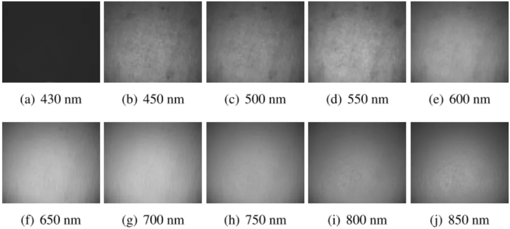 Fig. 2.6: Exemple de cube de réflectance multispectral de peau acquis avec le sys- sys-tème Asclepios.