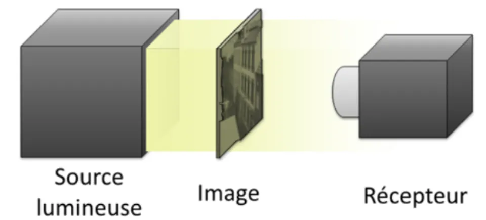 Fig. 2.8: Schéma du modèle LIP. Les images sont obtenues en lumière transmise.