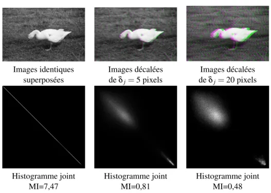 Fig. 4.8: Histogramme conjoint et information mutuelle pour deux images iden- iden-tiques décalées horizontalement de δ j ∈ {0, 5, 20} pixels.