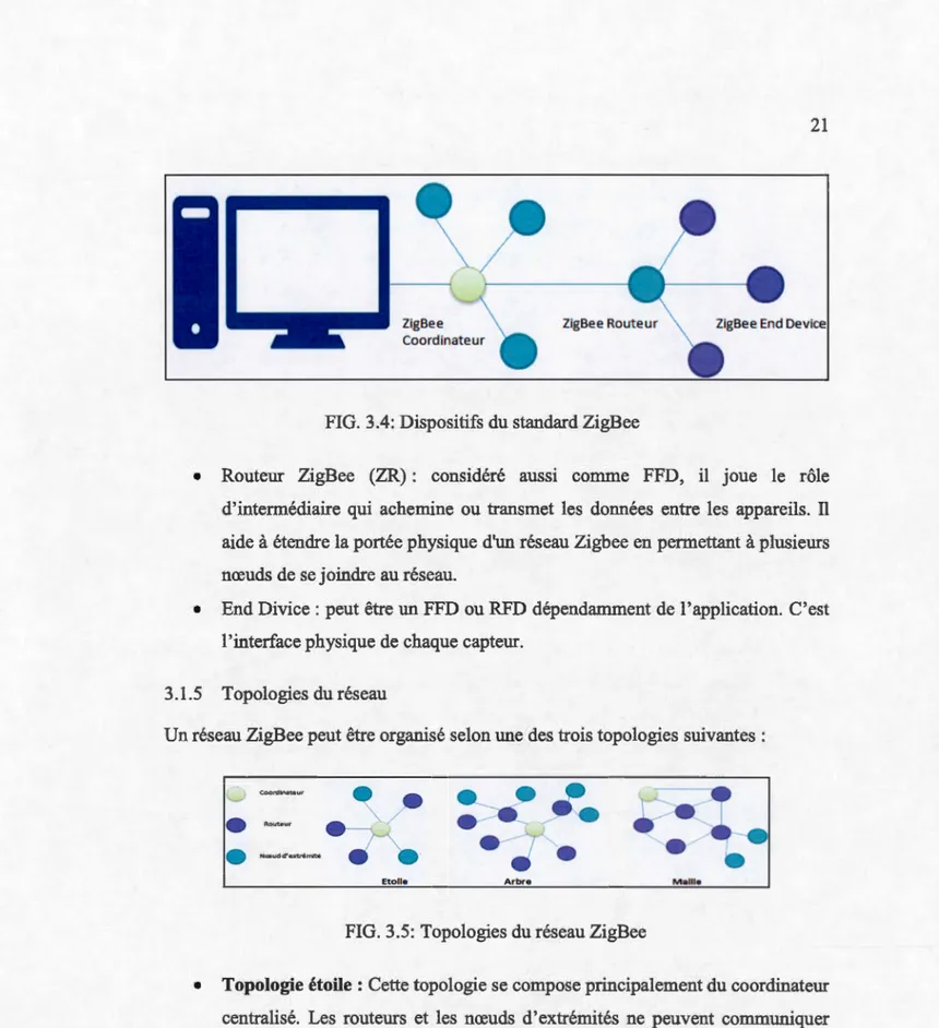 FIG .  3.4 :  Dispositifs du standard ZigBee 