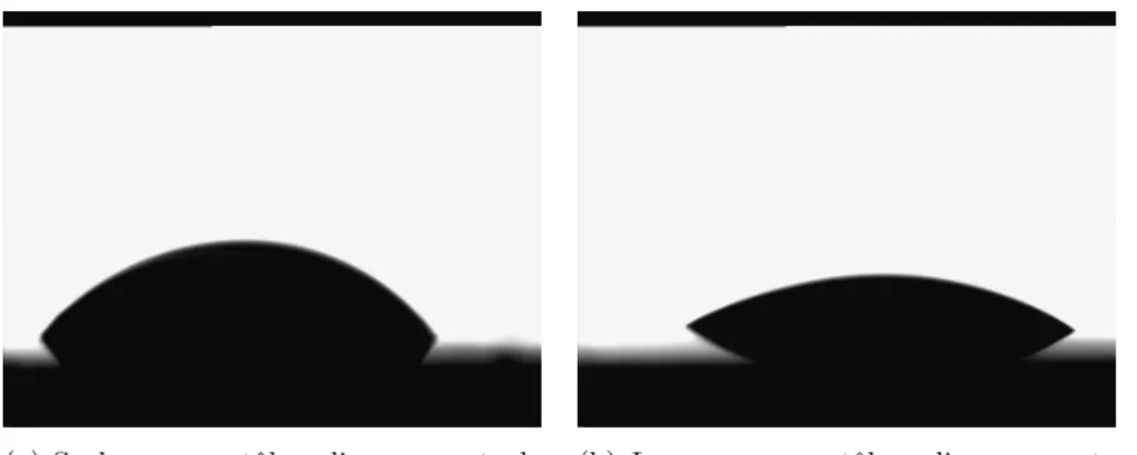 Figure 3.7 – Tests effectu´es avec du sealer et de la laque.