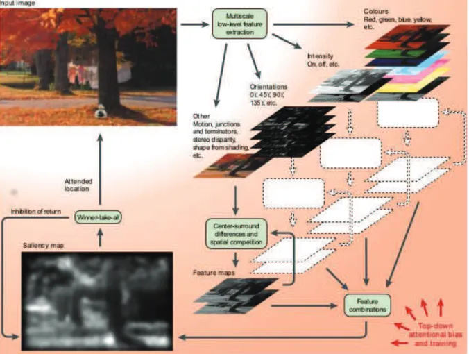 Figure 4  Model of Itti et al. [Itti 1998] in three steps: center surround difference, features 
