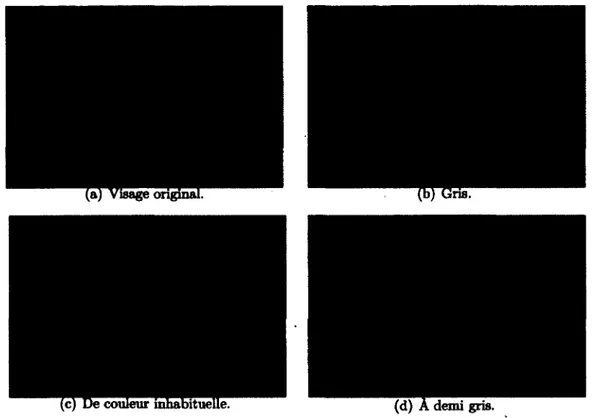 figure  1.6 - Différentes expériences sur  le rôle de la couleur  dans la détection.  Bien  que  la  détection  soit  plus  rapide  pour  des  visages  de  couleur  peau,  elle  à  également lieu pour  des visages de couleur non naturelle