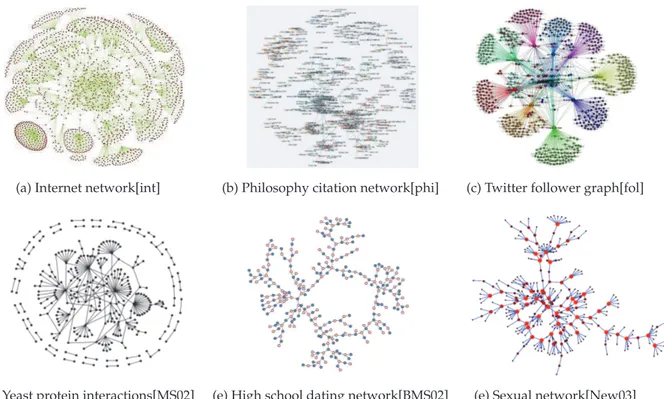 Figure 3.3.: Examples of real networks