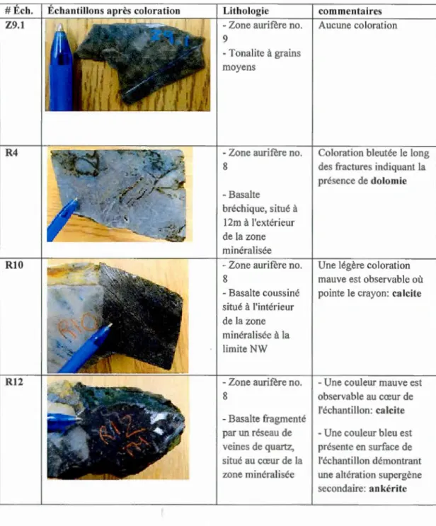 Tableau  1 :  R és ultat s  du  test de  coloration  d es  carbonates au  rou ge  d'al za rin e 