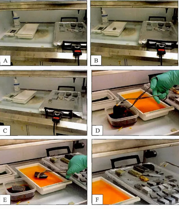 Figure  5:  Éta p es  d e  l a  co l o ration  d es  feldspaths  a lc a lin s  a u  cobaltinitrite  d e  so dium 