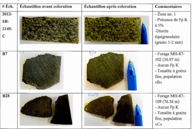 Tableau  1:  R ésu lt ats  du  test  de  co l orat i o n  des  feldspaths  p otass iqu es  au  cobaltinitrite  de  sodium (s uit e)   SB- 2145-c  B7  B28 